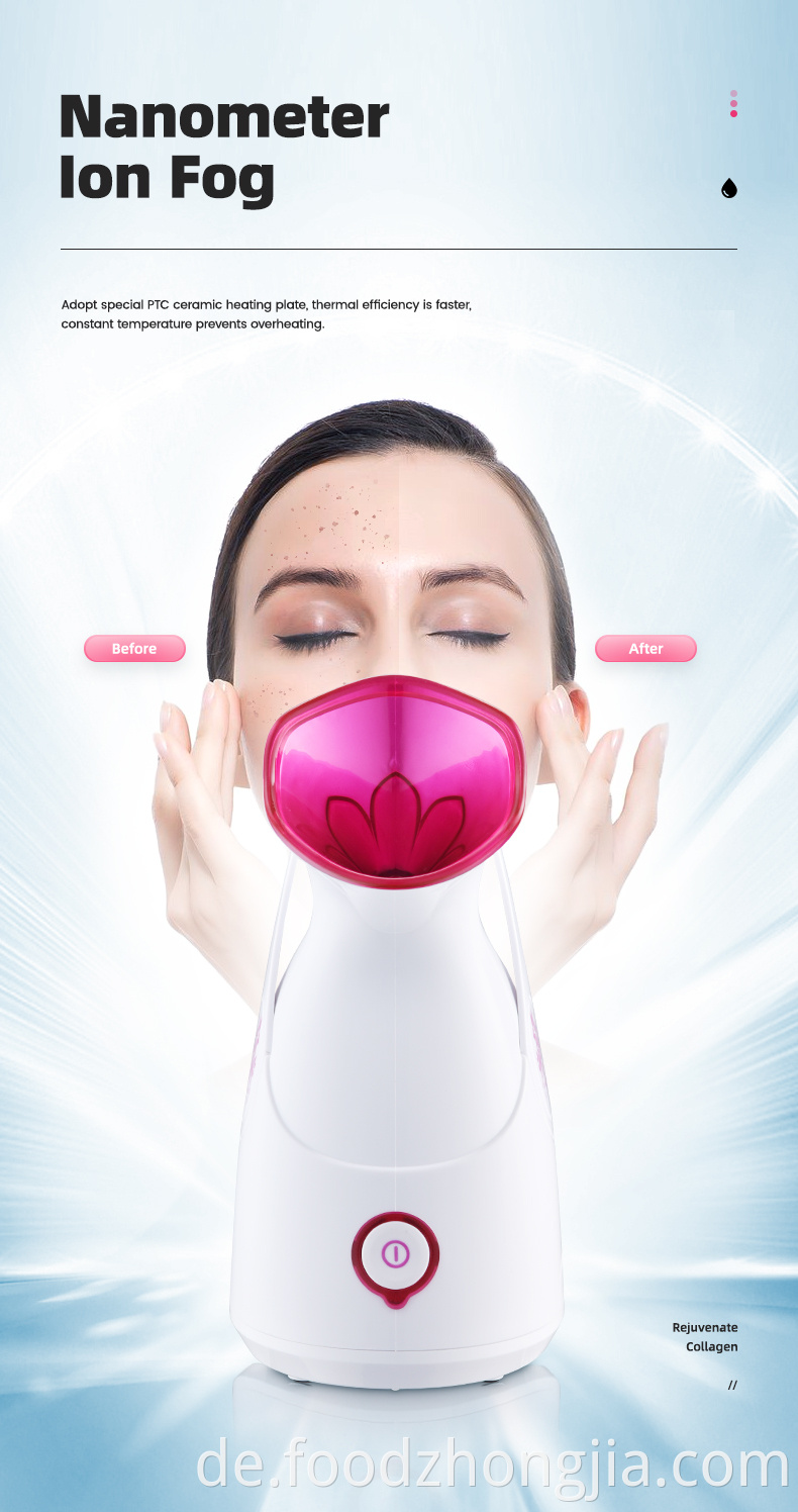 Großhandel professionelle elektrische Mini -Schönheitsprodukt Nano Ionic Face Luftbefeuchter Hot Mist Facial Dampfer Maschine